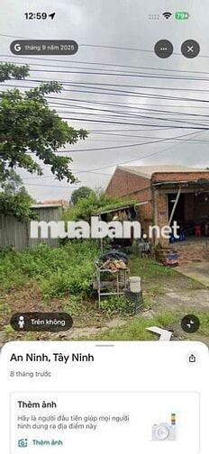 Chính Chủ Bán 100m2 Đất Thổ Cư Mặt Tiền Đường Số 8