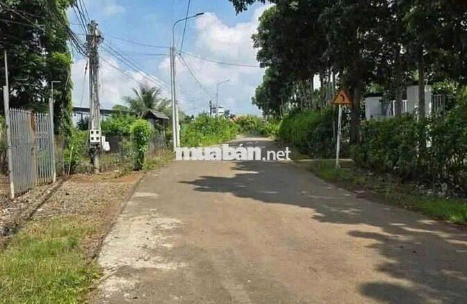 Hơn 200m² có sẵn 100m² thổ cư ngang 5m giá 600 triệu tại Đường Bãi Sậy