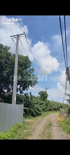 Bán thửa 147 và 148 tờ 41 Phú Hoà.1 tỷ 4