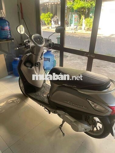 Yamaha Grande màu Xám