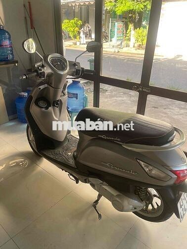 Yamaha Grande màu Xám