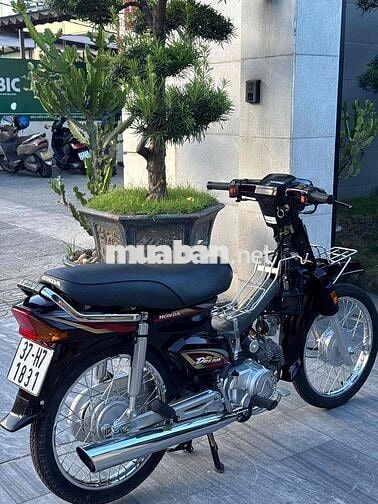 Honda Super Dream 2001 Nâu