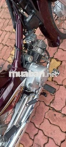 Honda Super Dream 2013 Đỏ mận