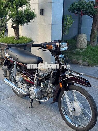 Honda Super Dream 2001 Nâu