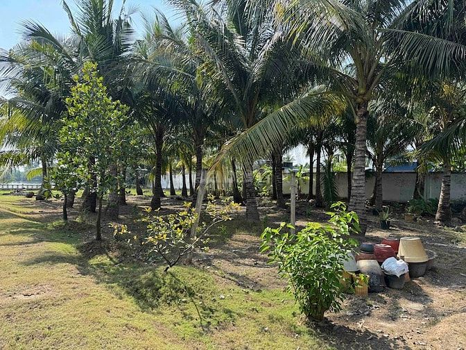 Bán đất bờ sông Long Phước Thủ Đức, 5.000m², thích hợp compound