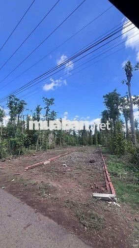 Đất nền Xuân Thọ 5x36 tcsr mặt nhựa gần trục đường Xuân Lộc-Long Khánh