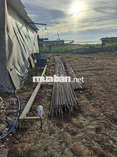 mình cần tuyển công nhân làm kè sông(nam và nữ)