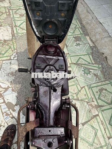 Honda PREALM II màu Nâu