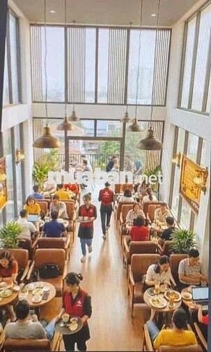 TUYỂN NHÂN VIÊN QUÁN CÀ PHÊ Ở TÂN PHÚ - LƯƠNG CAO