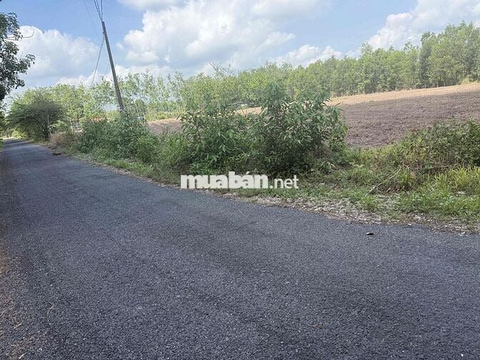 cần bán 9700m2 đất cách đường an nhơn tây 50m giá 21,5 tỷ