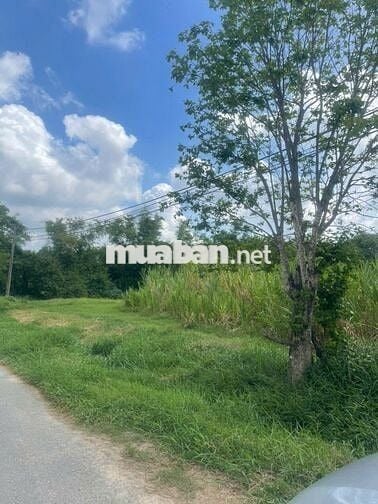 Bán đất mặt tiền đường Nguyễn Thị Chiếu  lô góc 2 mặt tiền nhựa 2020m2
