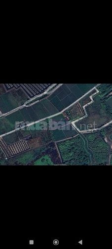 Ban đất nông nghiệp chính chủ gần sông Sài Gòn.dat mặc tiền đẹp 
