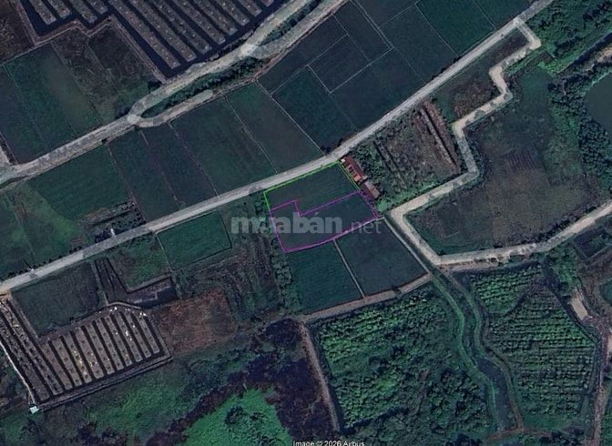 Ban đất nông nghiệp chính chủ gần sông Sài Gòn.dat mặc tiền đẹp 