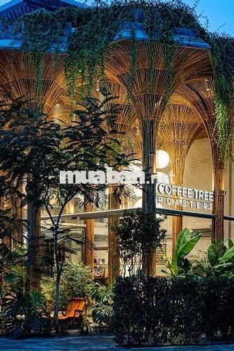 Tuyển nhân viên phục vụ, Pha Chế