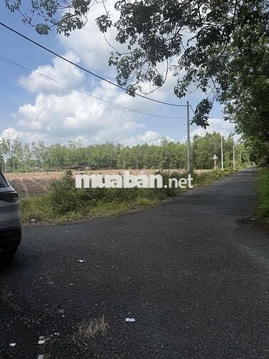 cần bán 9700m2 đất cách đường an nhơn tây 50m giá 21,5 tỷ