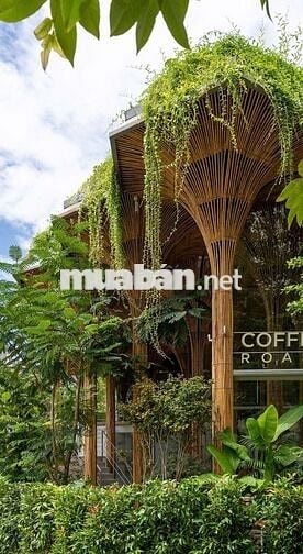 Tuyển nhân viên phục vụ, Pha Chế