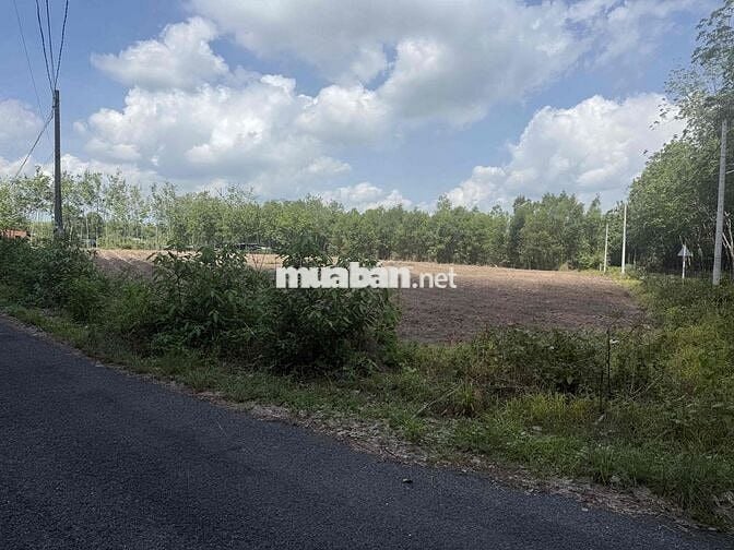 cần bán 9700m2 đất cách đường an nhơn tây 50m giá 21,5 tỷ