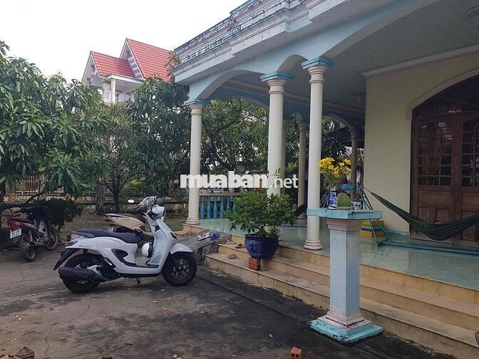 Bán nhà đất mặt tiền QL50, thị trấn Vĩnh Bình Tiền Giang