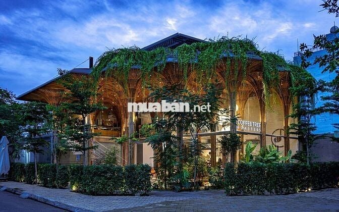 Tuyển nhân viên phục vụ, Pha Chế