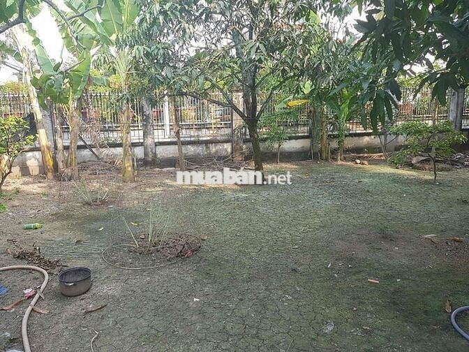 Bán nhà đất mặt tiền QL50, thị trấn Vĩnh Bình Tiền Giang