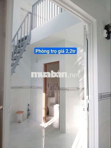 Nhà vừa ở vừa có thu nhập thụ động