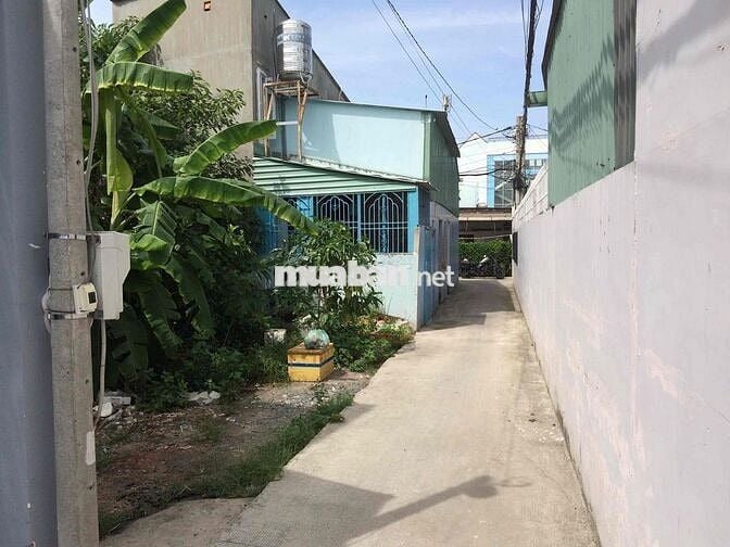Bán đất thổ cư thị trấn hốc môn đường Lê Lợi