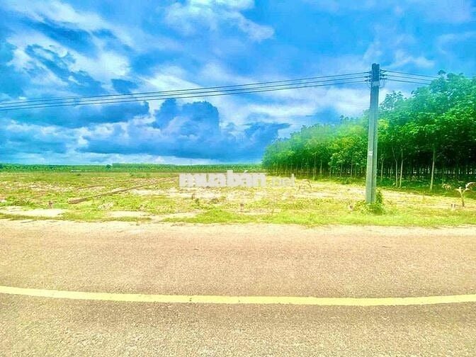 Chính Chủ Cần Bán Lô Đất phước thành TPHCM