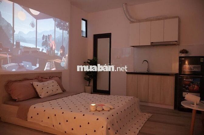 Cho thuê phòng Studio tại Ngõ 51 Trần Điền, Phương Liệt, Thanh Xuân