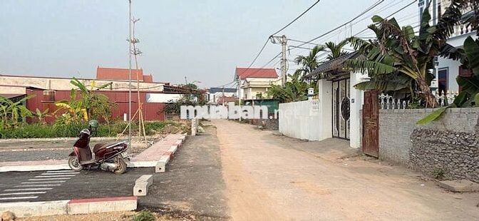 Đất An Tiến, DT80m2, MT5.9m, nở hậu, ôtô KD, 1.72 tỷ Mỹ Đức