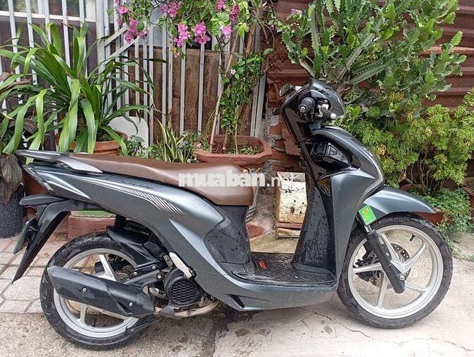Honda Vision Xám
