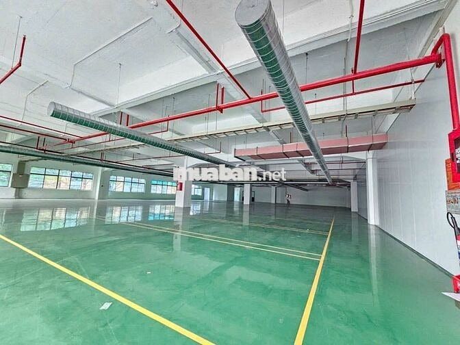 Cho thuê nhà xưởng trong KCN Hải Sơn - Giá 3.9 USD/m²/tháng