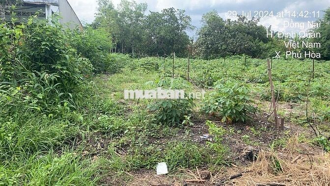 CHỈ 570 TRIỆU SỞ HỮU NGAY 150m2 LÔ ĐẤT PHÚ HOÀ ĐỊNH QUÁN