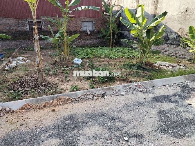 81 m², Phù Linh, Sóc Sơn. Giá đã giảm sâu, bán nhanh.