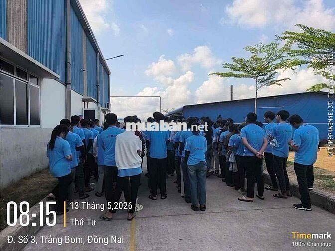 Tuyển 100 LĐPT KCN Giang Điền