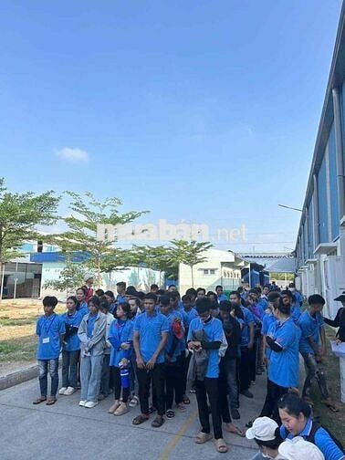 Tuyển 100 LĐPT KCN Giang Điền