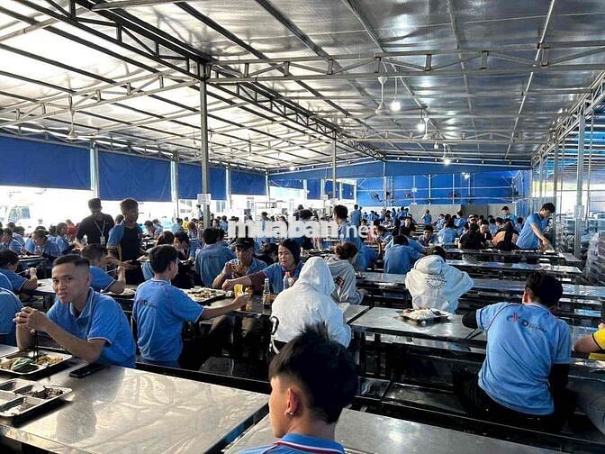 Tuyển 100 LĐPT KCN Giang Điền