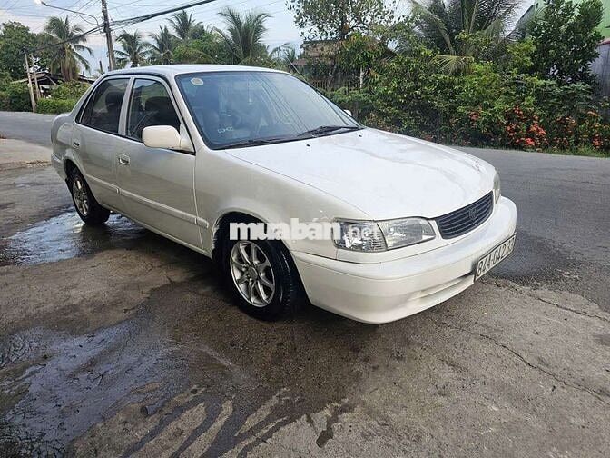 Toyota Corolla 2001 1.3 Trắng
