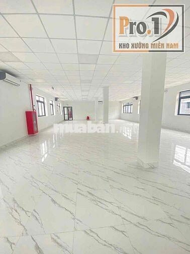 Cho thuê xưởng mới xây Trong KCN Thạnh Phú,Biên Hoà,Đồng Nai