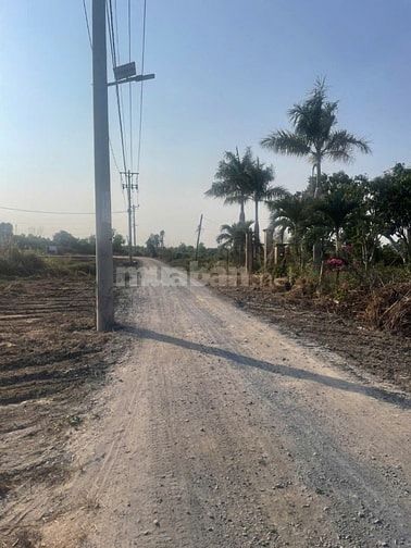 BÁN NHÀ VƯỜN XÃ AN THỚI ĐÔNG – CẦN GIỜ