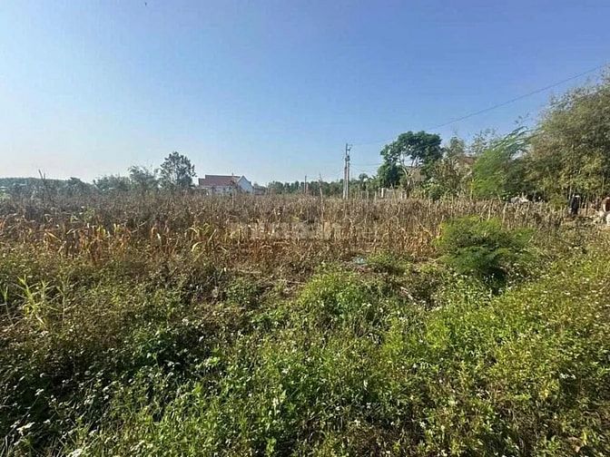 Công ty Đấu giá hợp danh Lam Sơn Sài Gòn THÔNG BÁO ĐẤU GIÁ TÀI SẢN