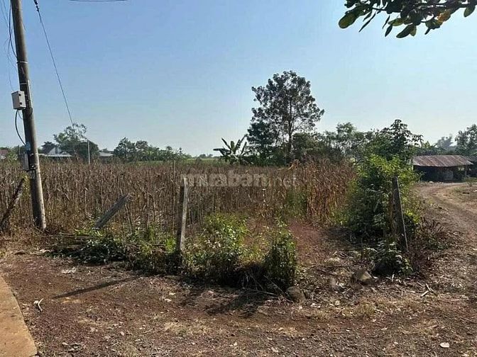 Công ty Đấu giá hợp danh Lam Sơn Sài Gòn THÔNG BÁO ĐẤU GIÁ TÀI SẢN