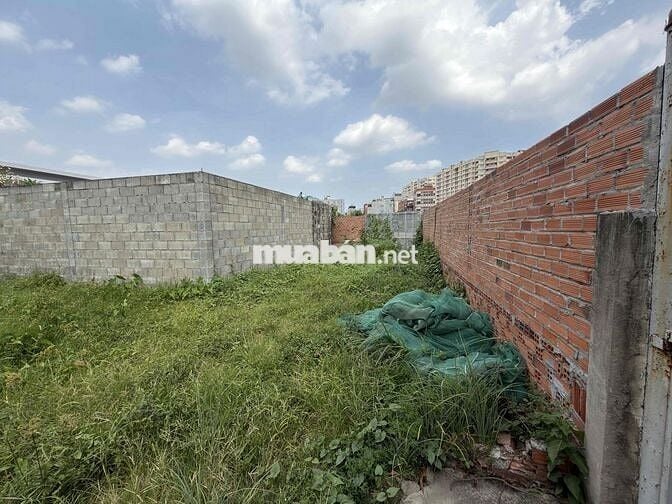 🏡 BÁN ĐẤT ĐẸP NGAY CHỢ CẦU – VỊ TRÍ CỰC TIỀM NĂNG 🔥
