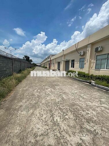 cho thuê xưởng - tp thủ dầu một  4000m - 9000m
