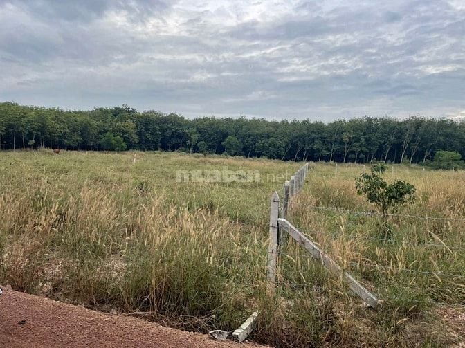 tôi bán miếng đất diện tích 2,400m giá bán 80trieu sổ sẳn ,đường oto 