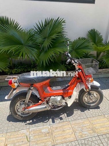 Honda Chaly 1995 Cam trắng