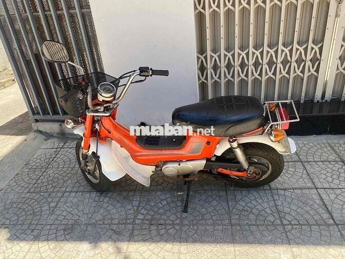 Honda Chaly 1995 Cam trắng