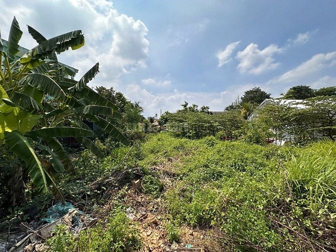 Thông báo đấu giá tài sản bảo đảm của khách hàng Nguyễn Văn Mỹ tại MSB