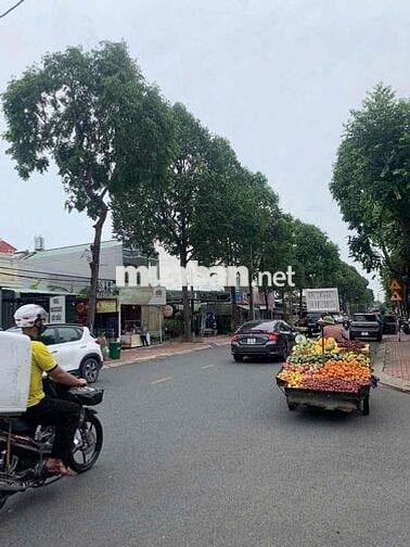 Cho Thuê Nhà 4 Phòng Ngủ Mặt Tiền KD Đa Nghành Khu Sinh Viên ĐH BDG