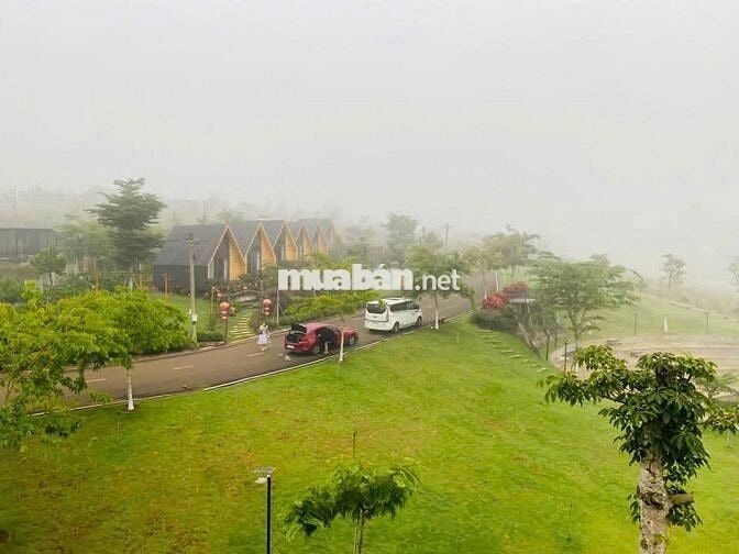 500m2 đất trung tâm thành phố bảo lộc sổ sẵn giá siêu ngộp
