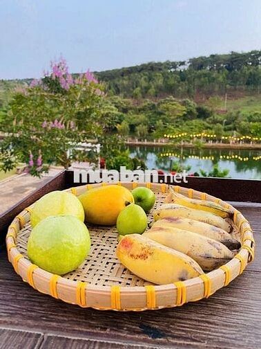 Bán 1000m2 đất TP. Bảo Lộc, thổ cư, sổ sẵn, đường nhựa, dân cư đông